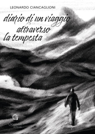 Diario-di-un-viaggio-attraverso-la-tempesta_fronte