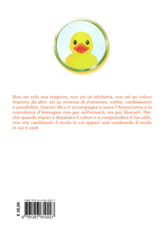 Non-sei-solo-una-stagione_retro